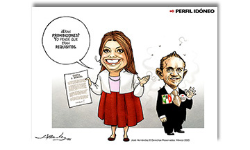 Perfil idóneo